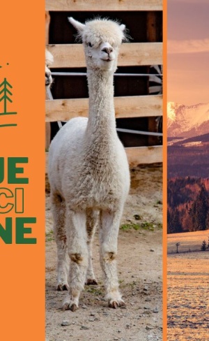 Zakopane dla dzieci - atrakcje dla dzieci w Zakopanem i okolicy