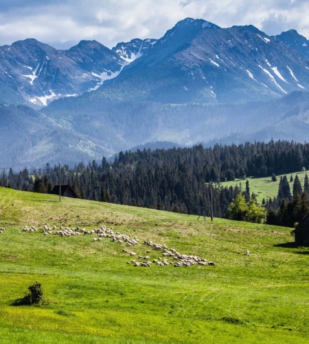 Weekend w Małopolsce - 20 najciekawszych atrakcji w województwie małopolskim