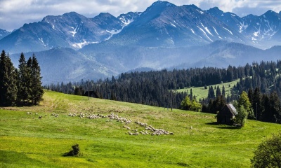 Weekend w Małopolsce - 20 najciekawszych atrakcji w województwie małopolskim