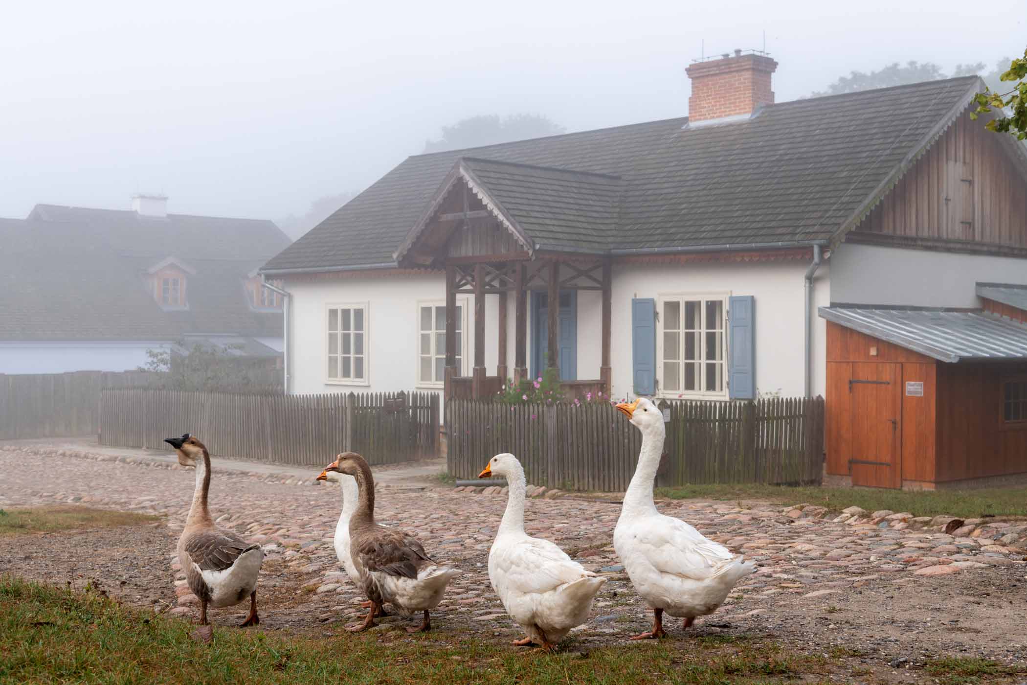 Muzeum Wsi Lubelskiej