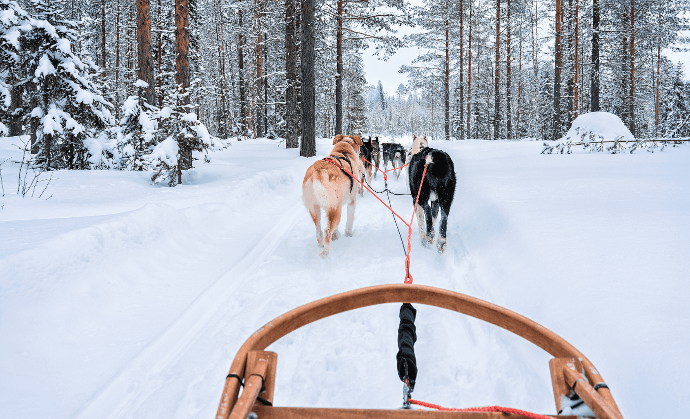 sylwester w gorach 14