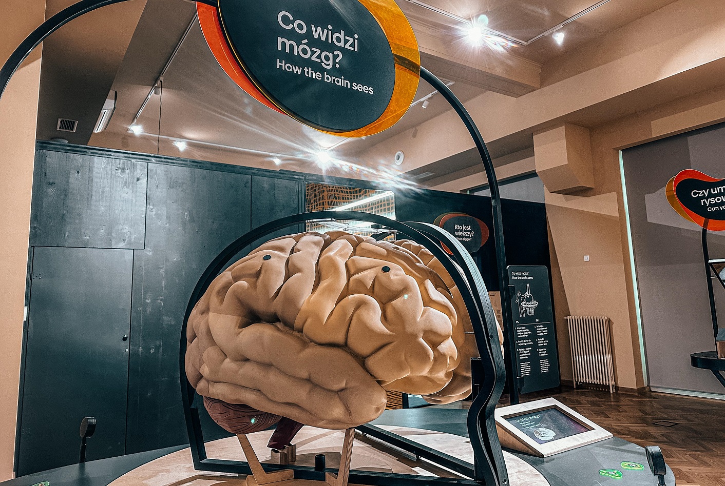 centrum witelona legnica