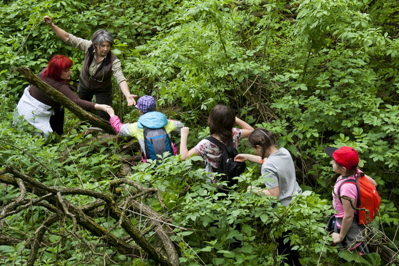 Edukacja Robert Michałowski
