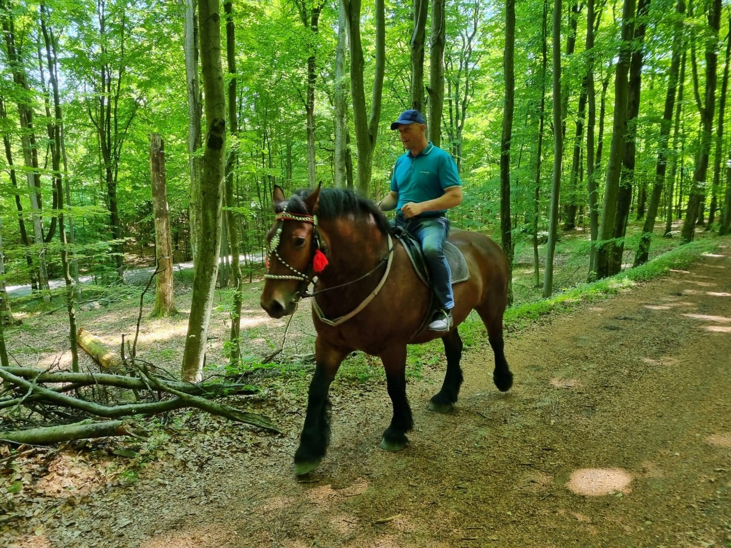 szlak konny 2 fot. Olga Buczyńska