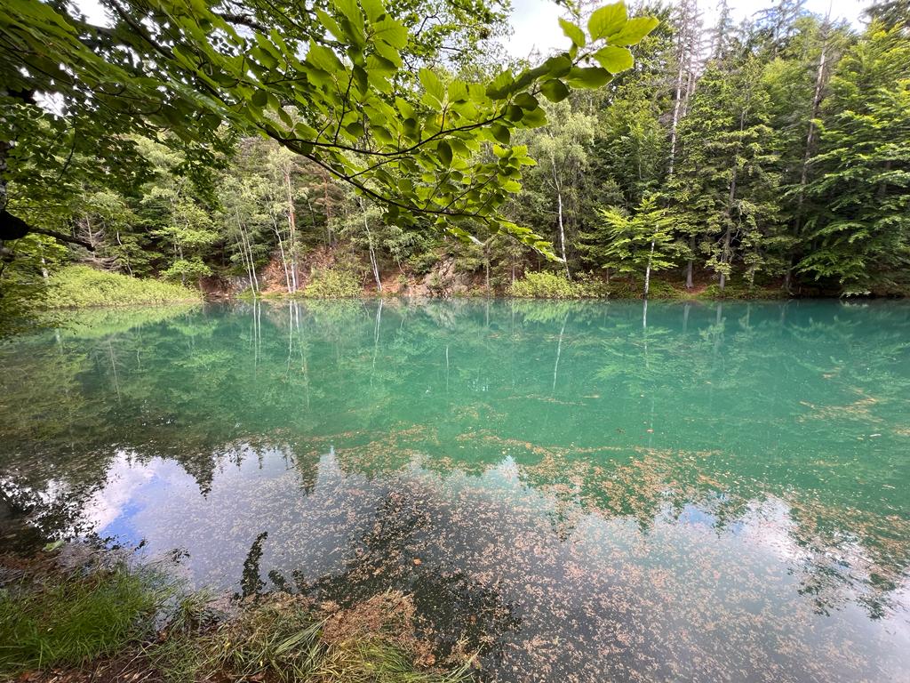 c7933492 c35b 4a5c bcac e7a0a14c8eb8