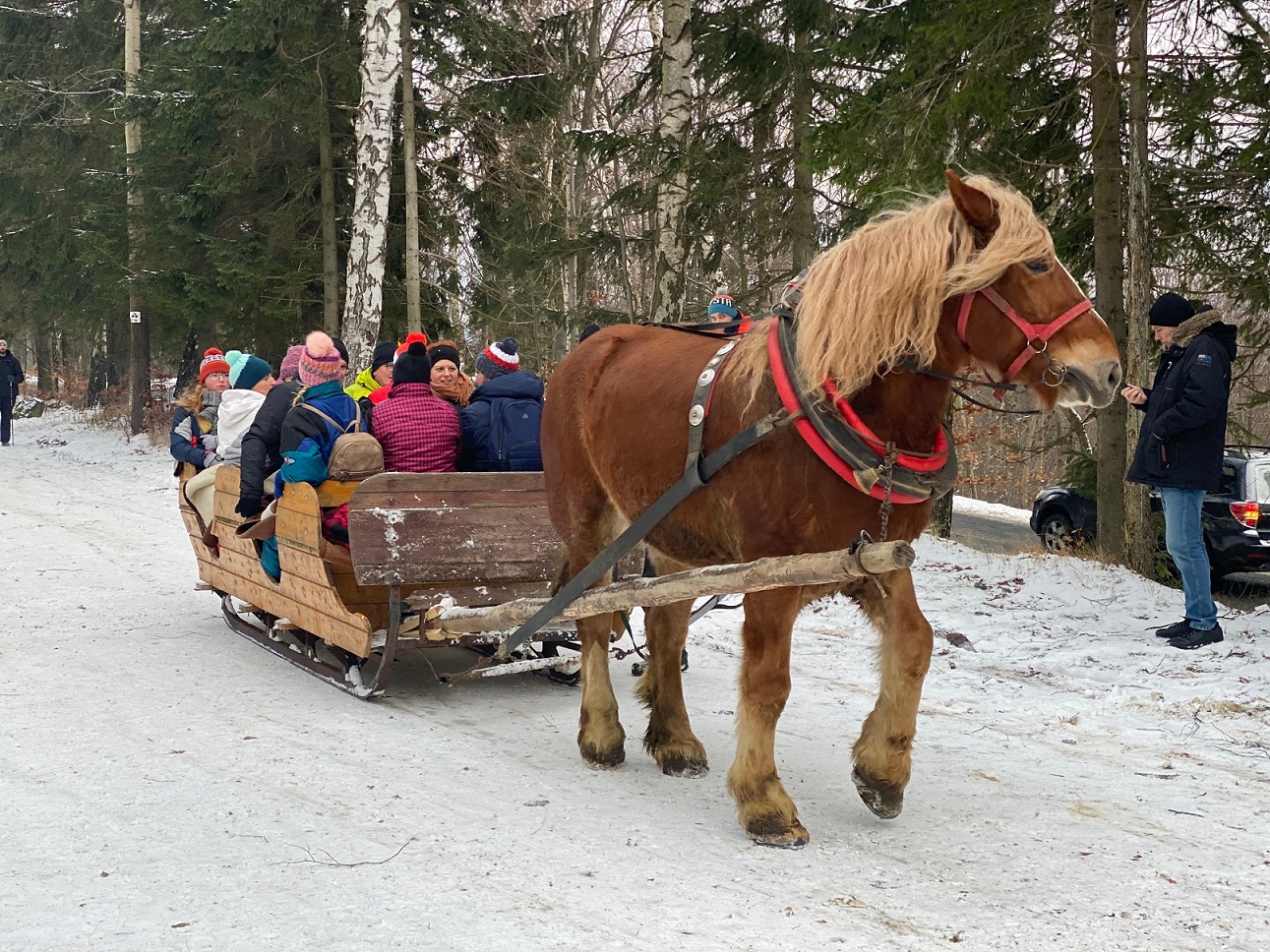 kuligi Szklarska Poręba