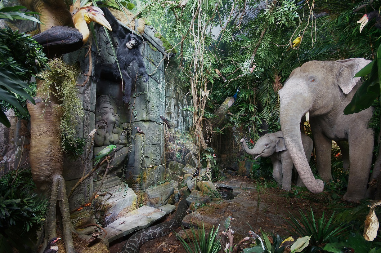 muzeum przyrodnicze jelenia gora