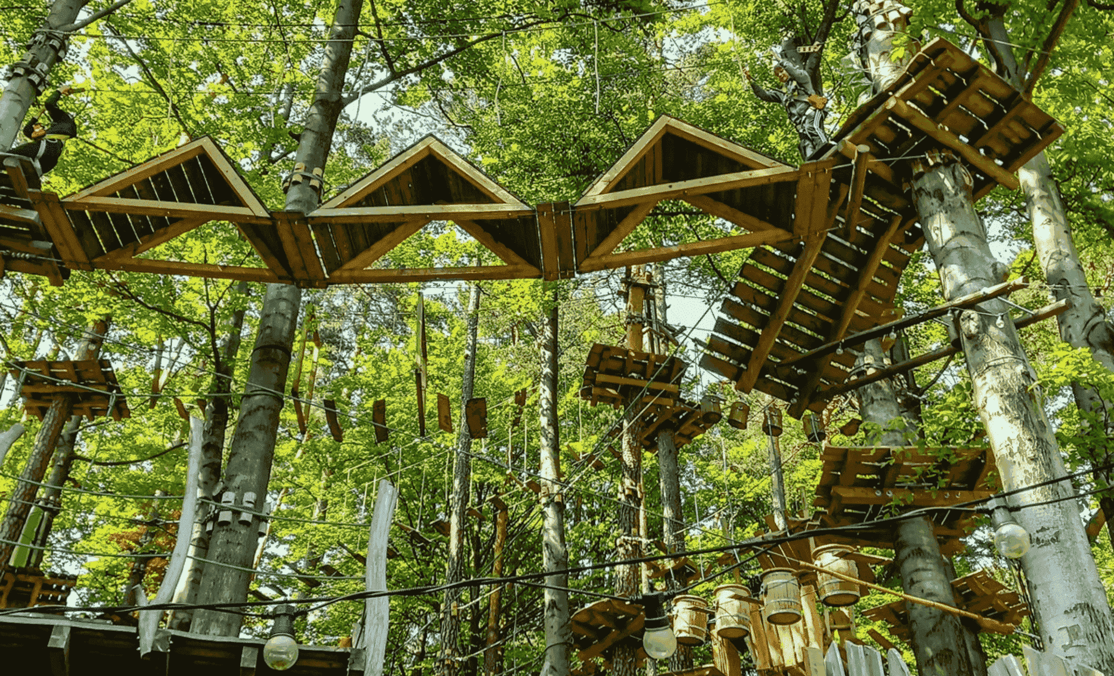 Park Linowy Trollandia Szklarska Poręba