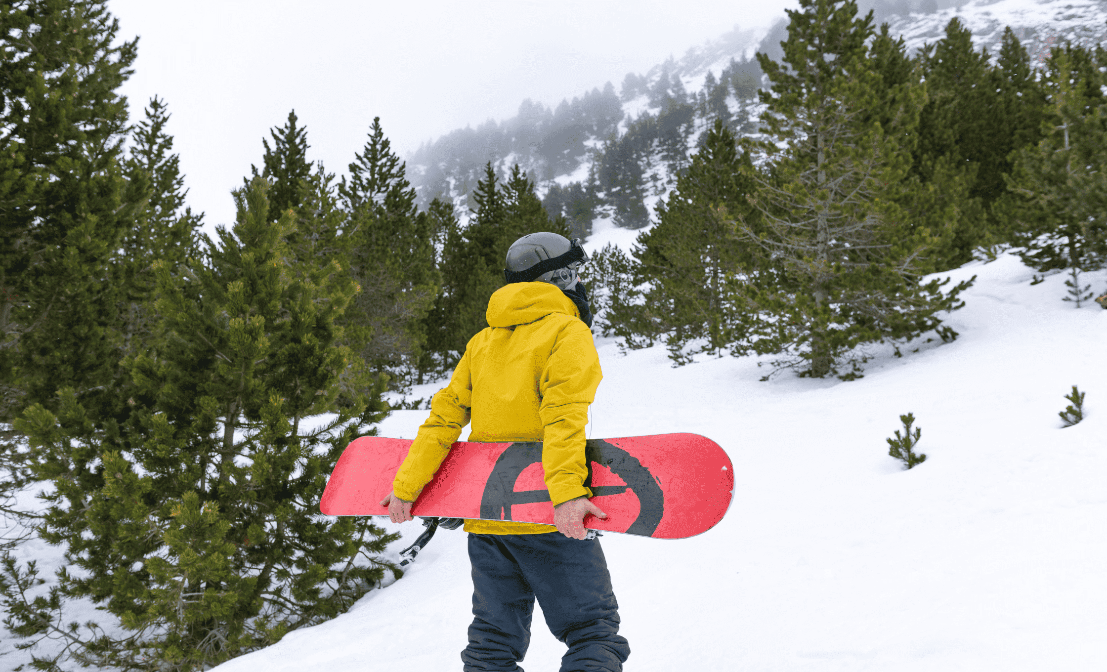snowboard szklarska poreba 6 1 1 1