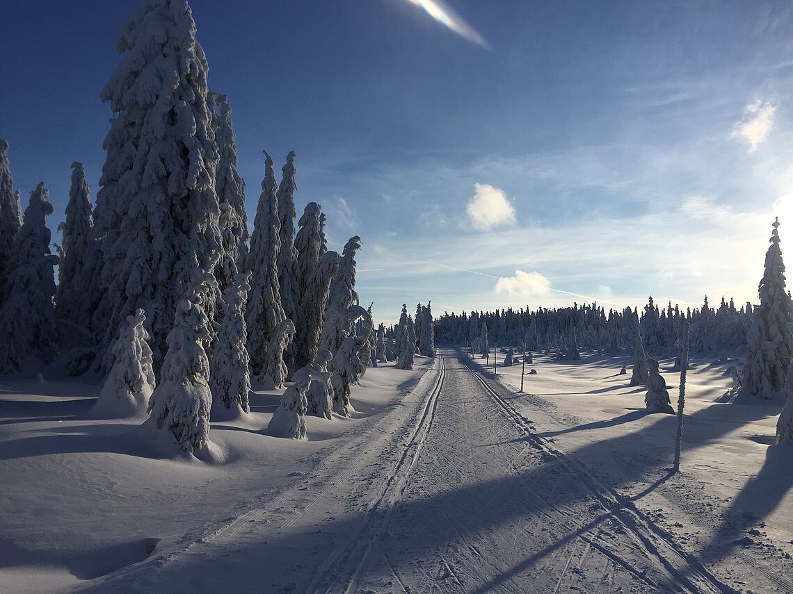 ski sun narciarstwo biegowe