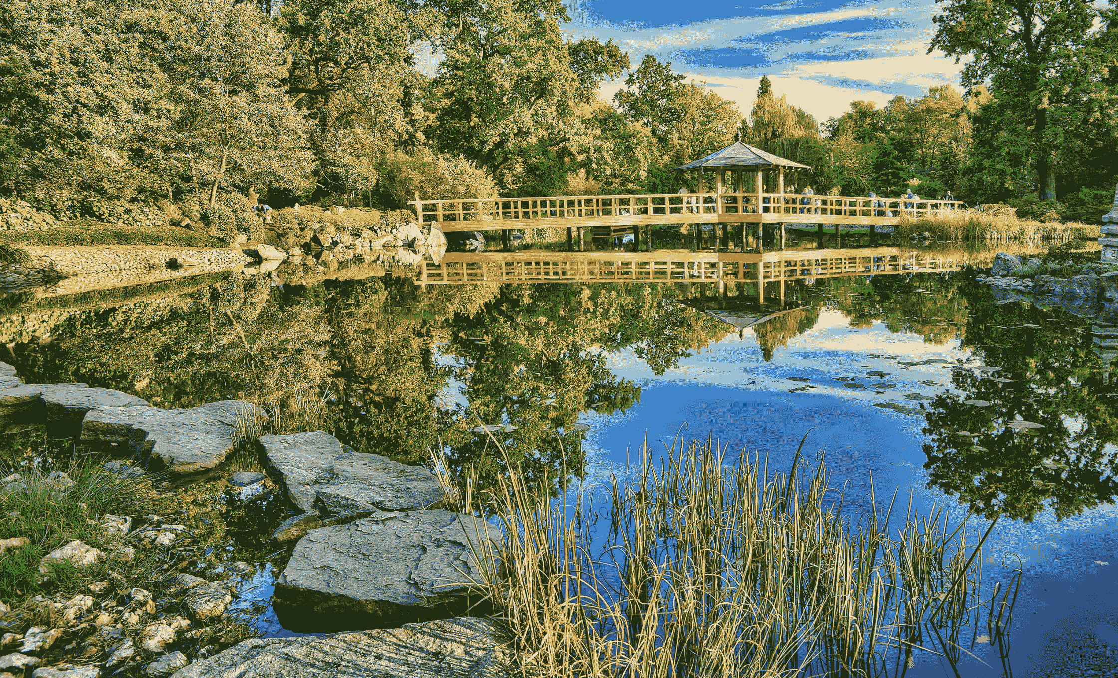 Ogród Japoński we Wrocławiu