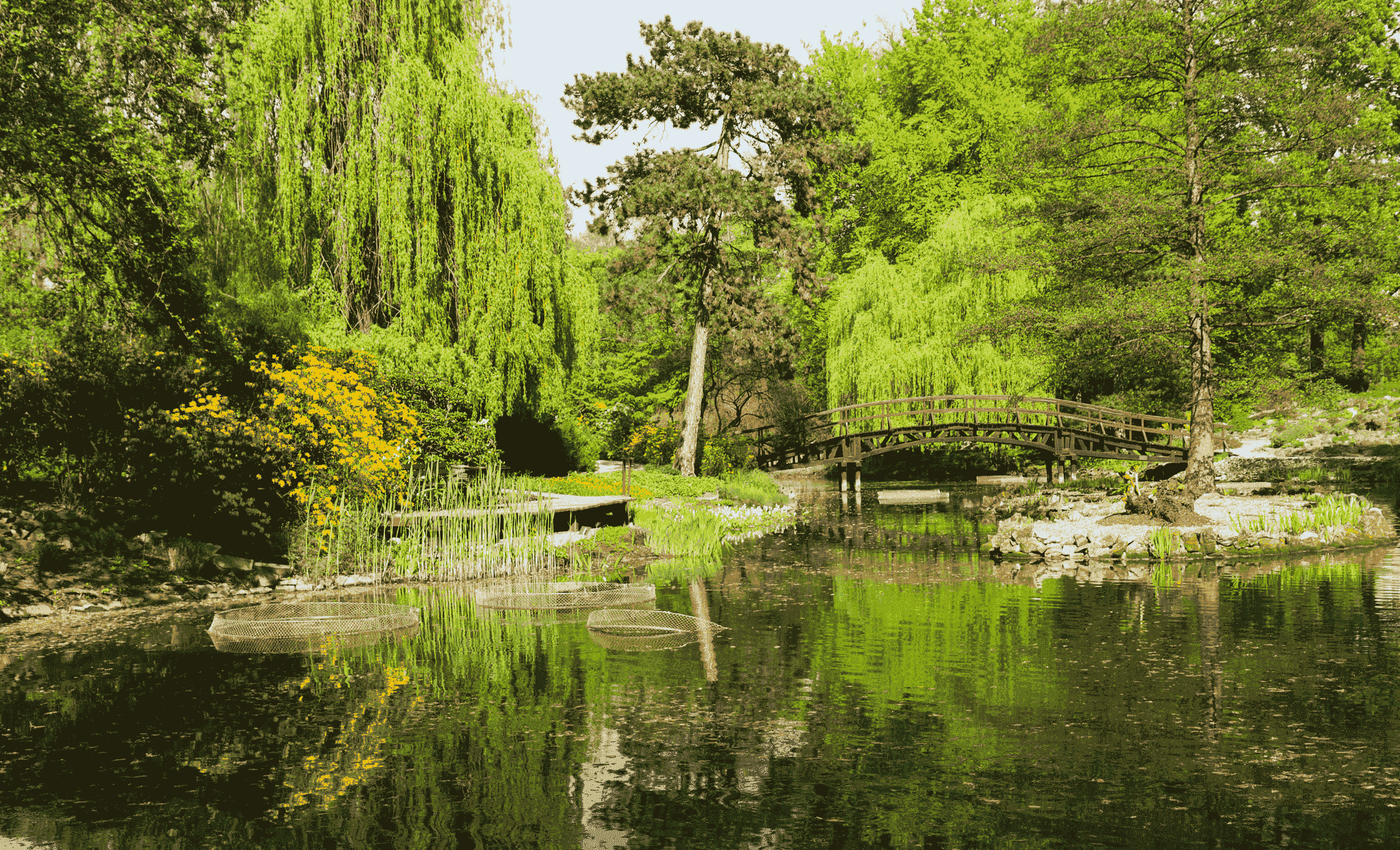 Park Szczytnicki Wrocław