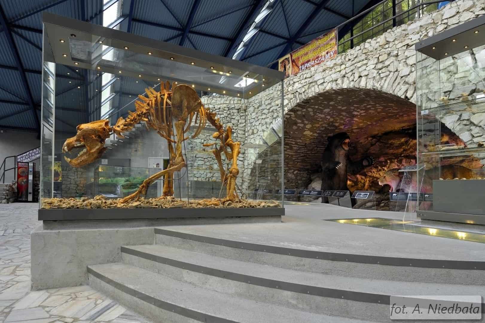 Jaskinia Niedźwiedzia w Kletnie