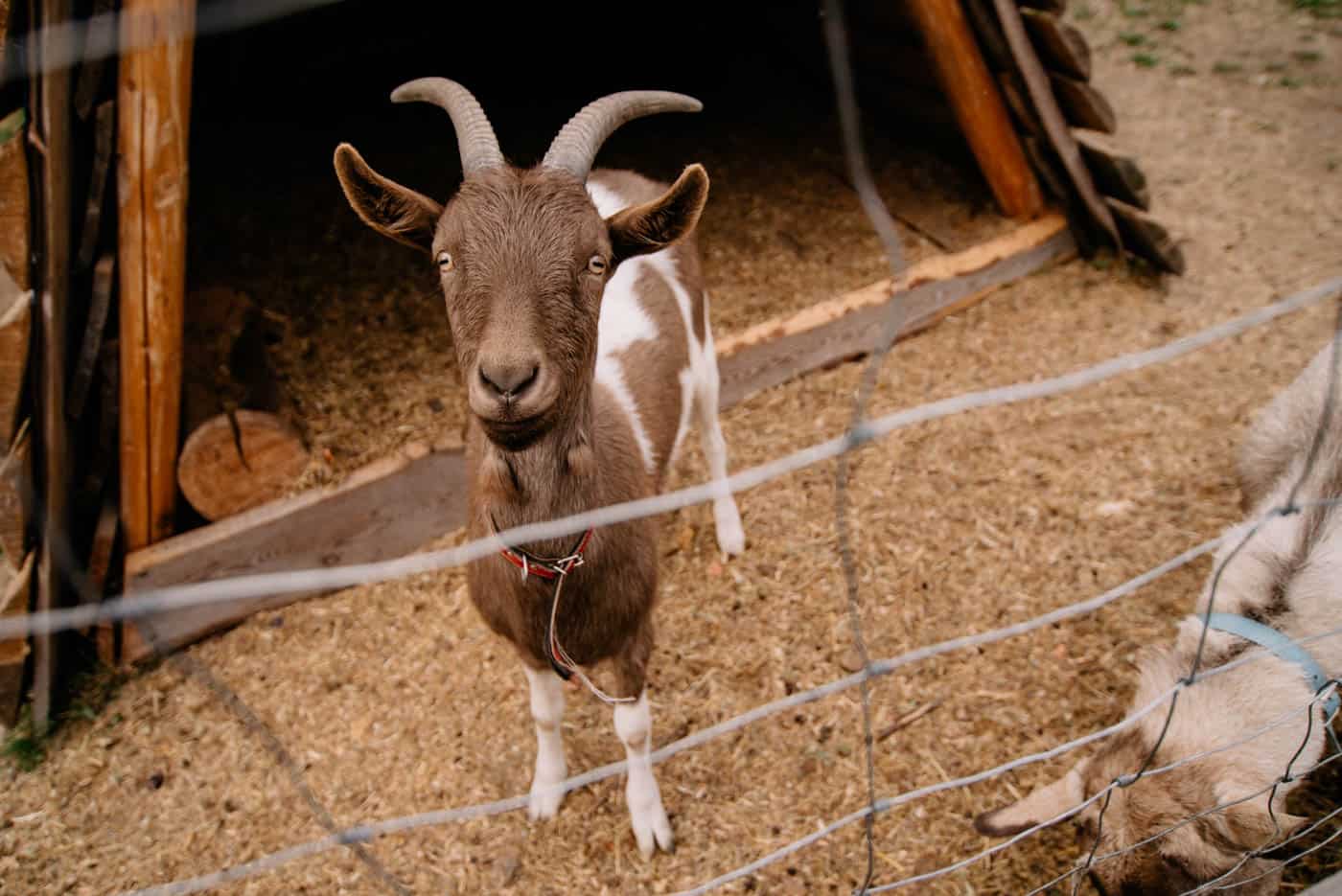 osada gornicza górnicza zloty stok