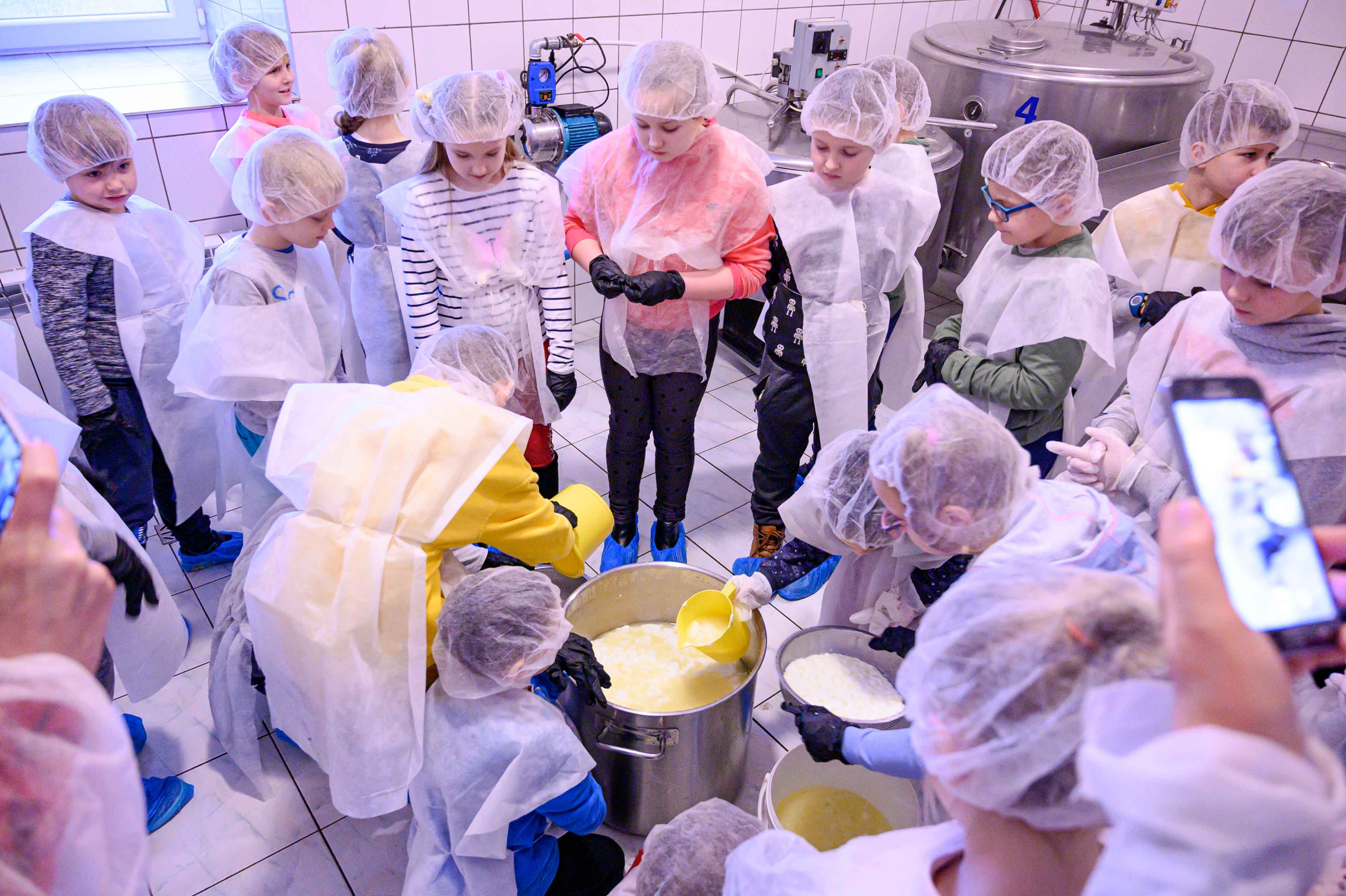 Sery Lutomierskie z Gór Sowich