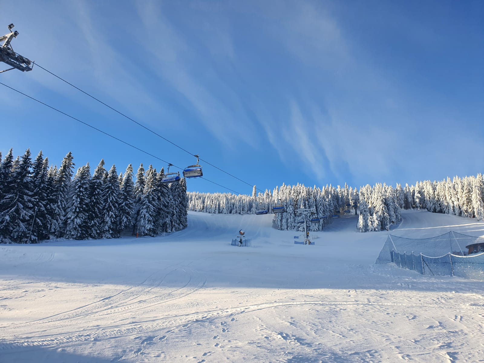 zieleniec sport arena