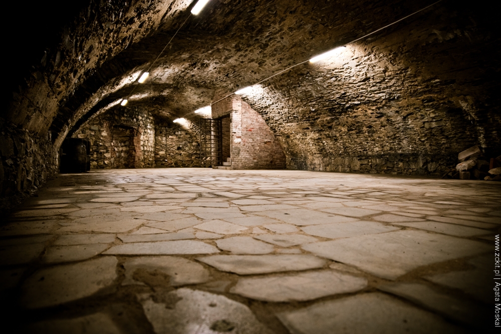 zamek ząbkowice śląskie