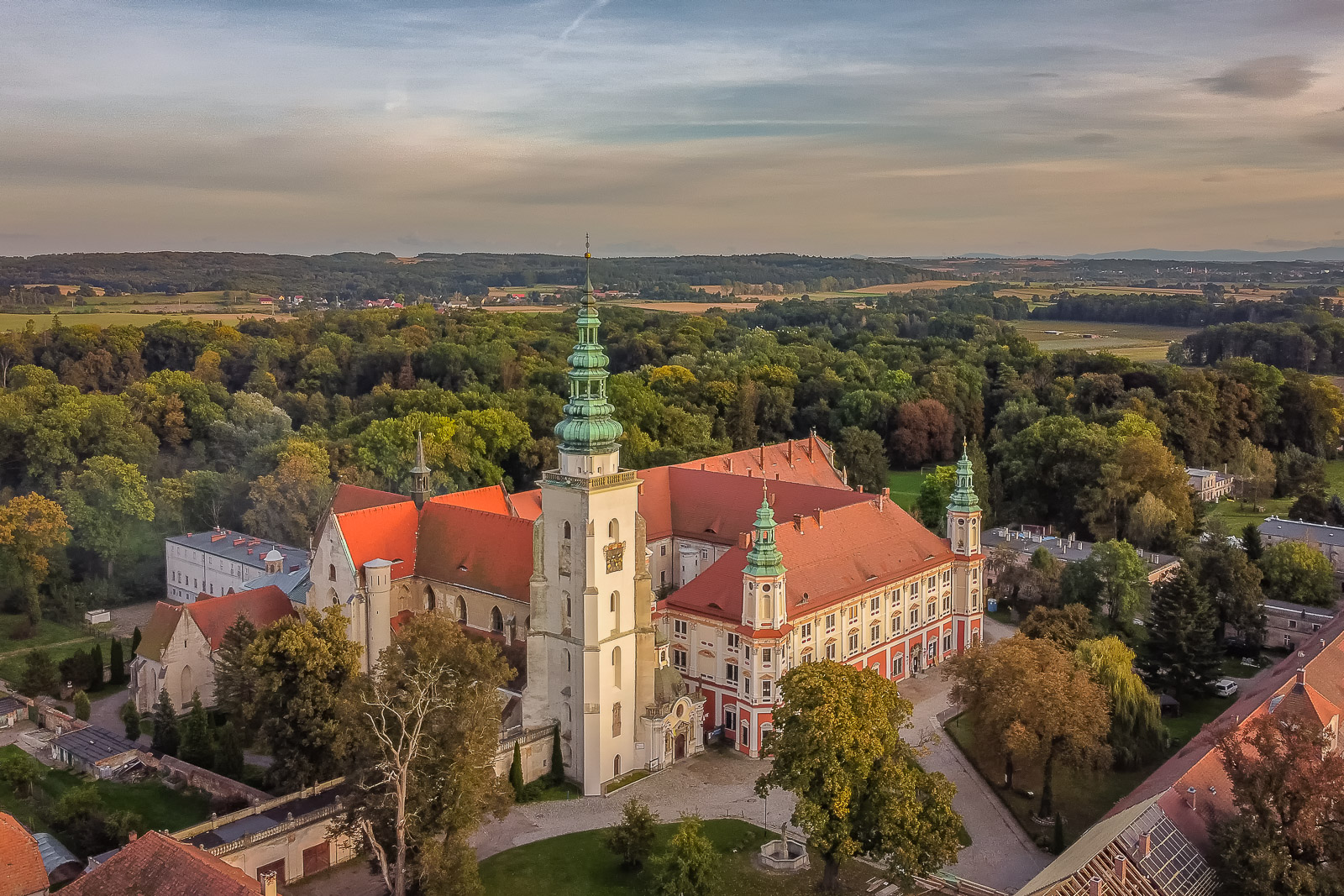 ziebice henrykow