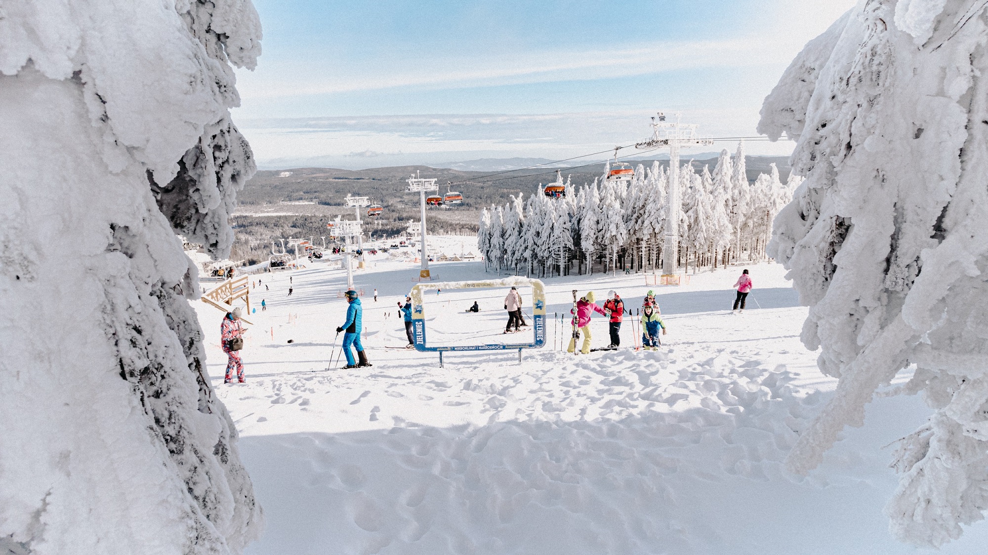 zieleniec sport arena