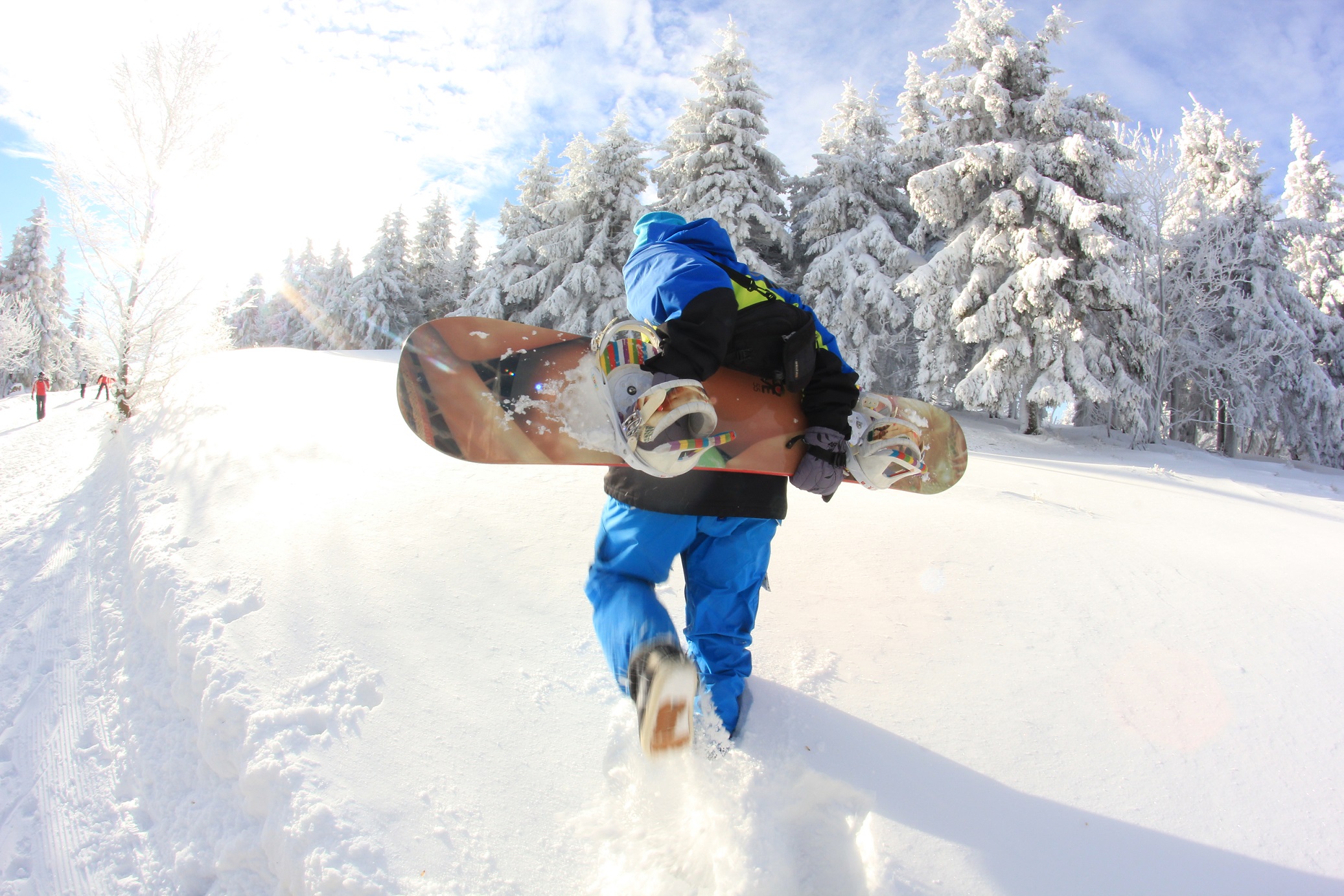 zieleniec sport arena