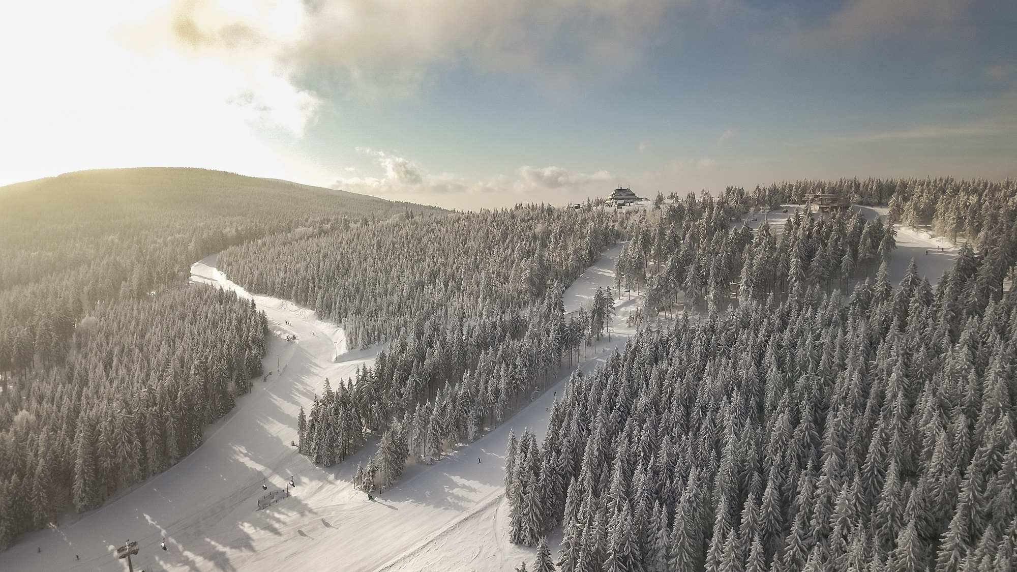 zieleniec sport arena