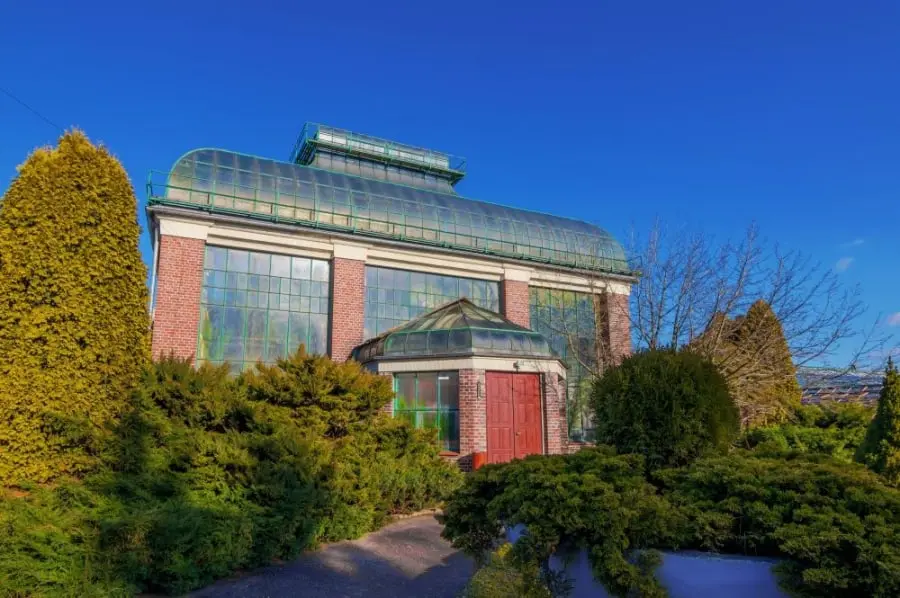 zamek Książ palmiarnia