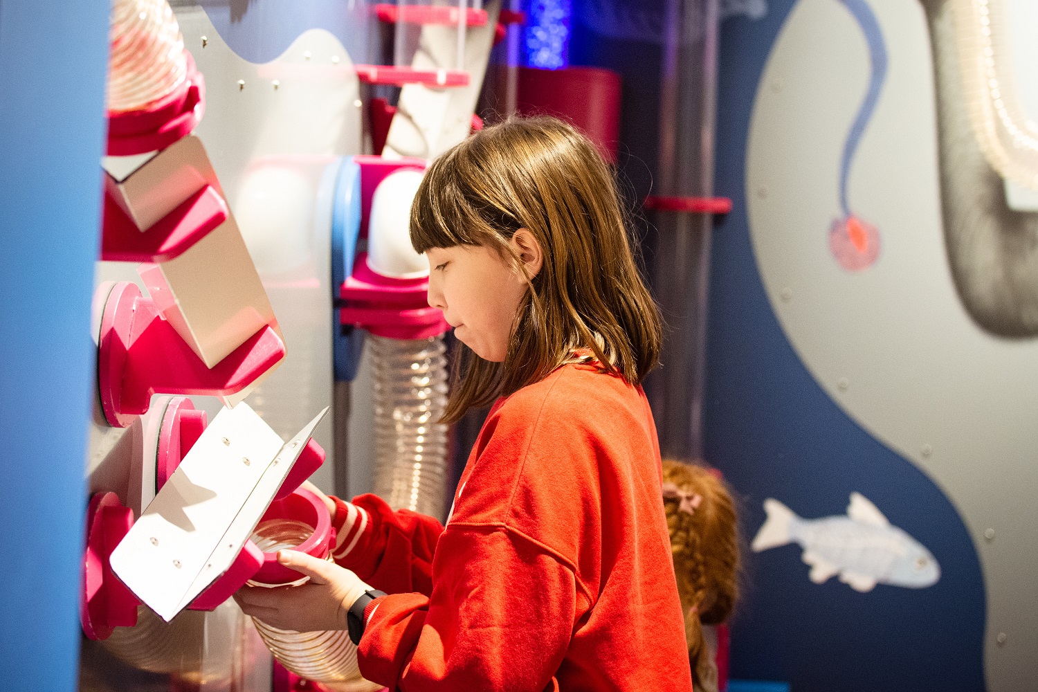 Bajka pana kleksa - atrakcje Katowice