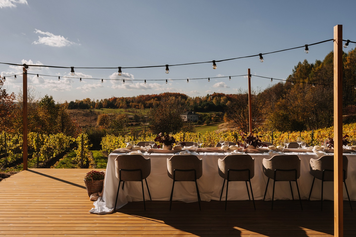 Winnica Białe Skały Poziom 511