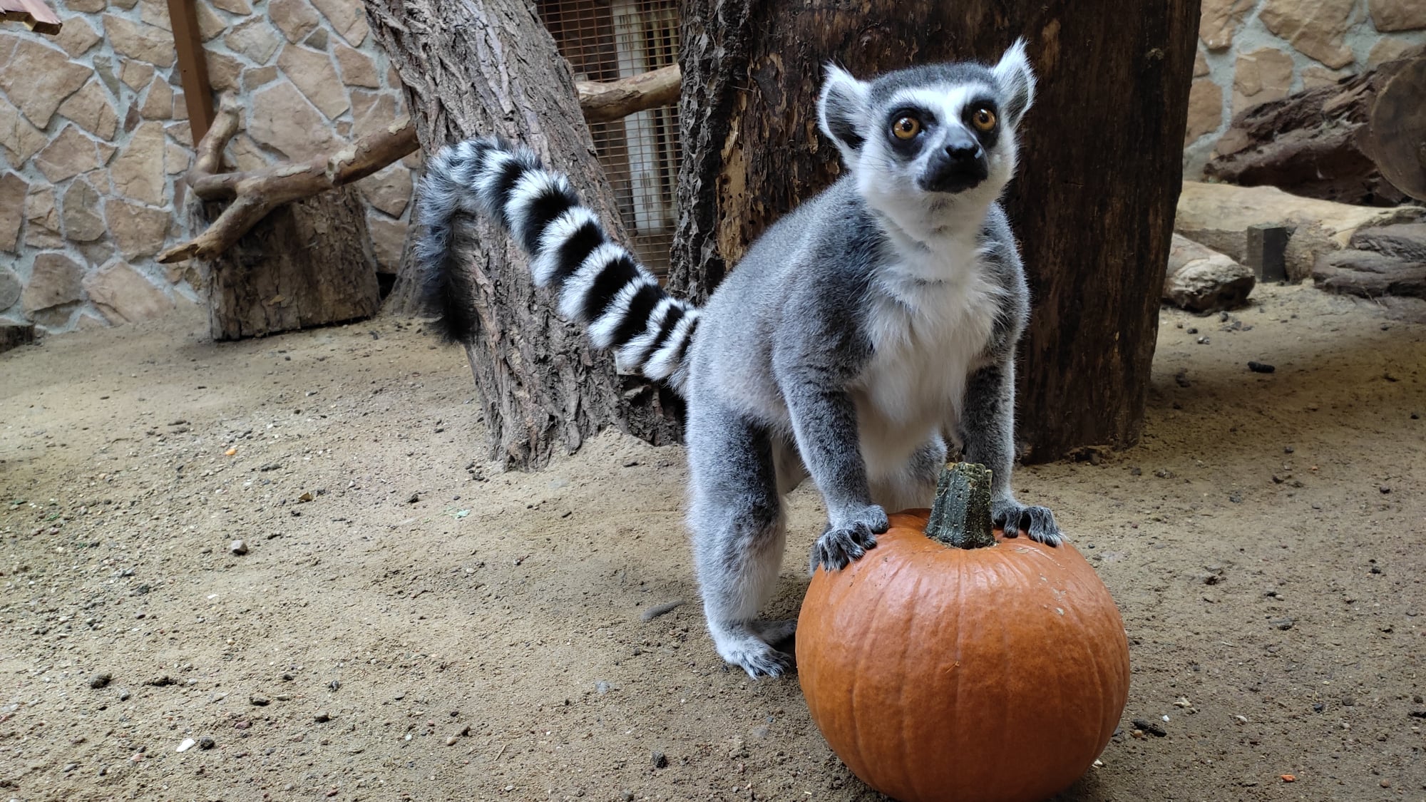 ogród zoobotaniczny Toruń