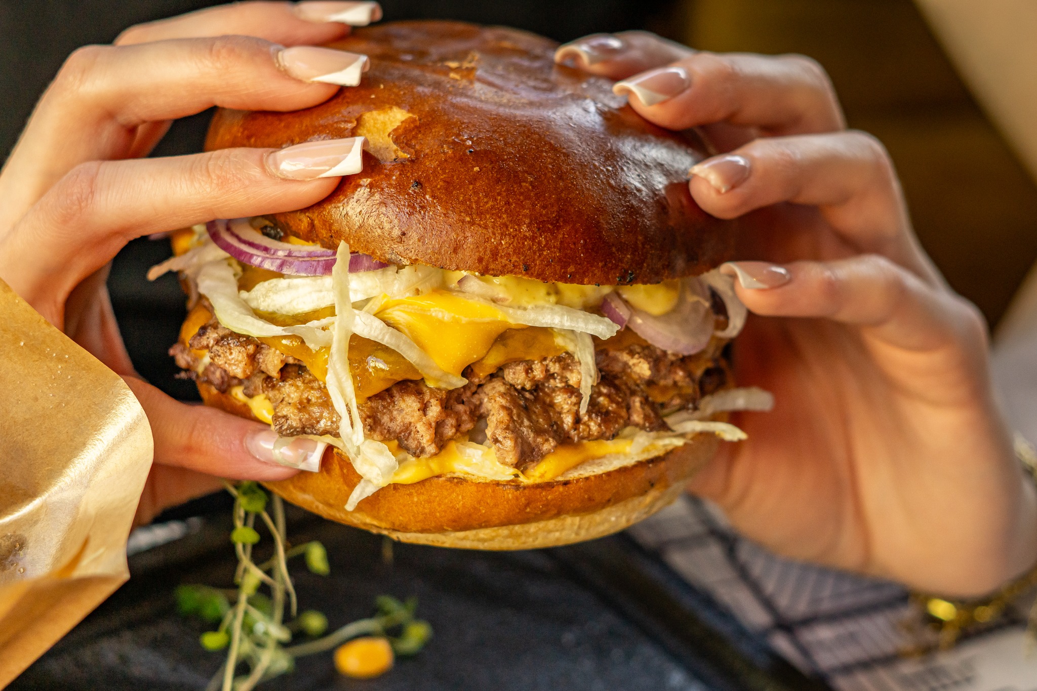 zamosc restauracja hollywood