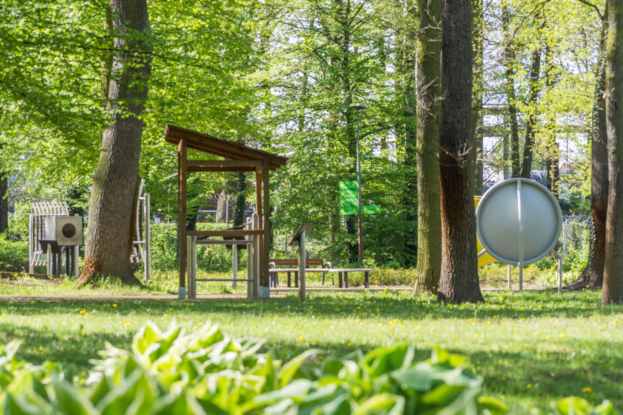 nowa sól park fizyki