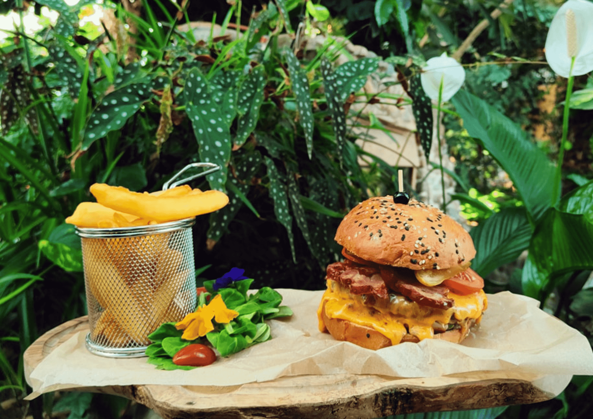 Restauracja Palmiarnia Zielona Góra