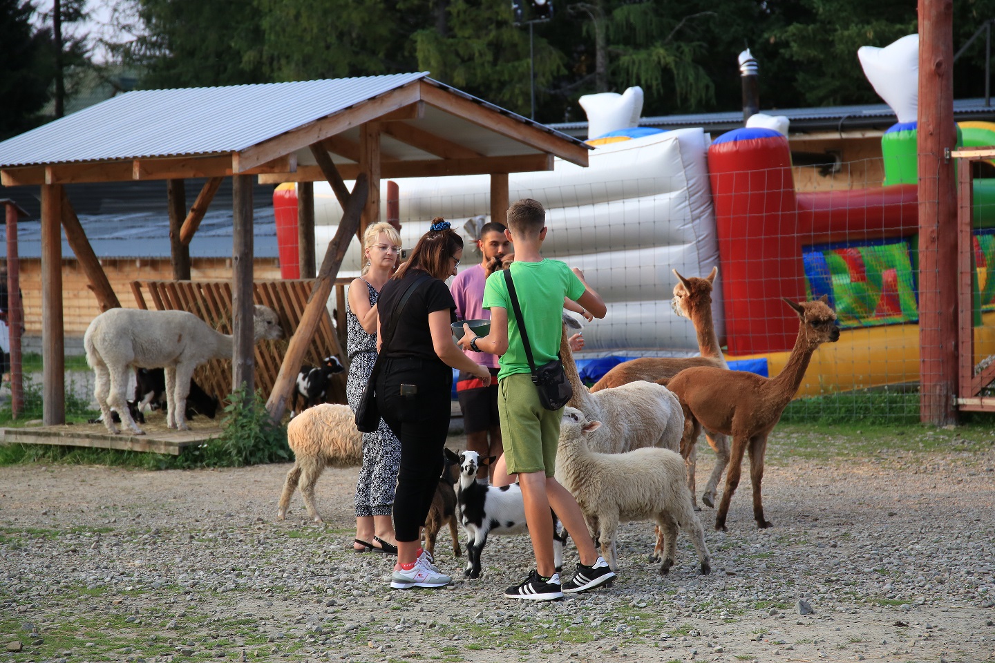 Tatrzańskie Mini ZOO Zakopane