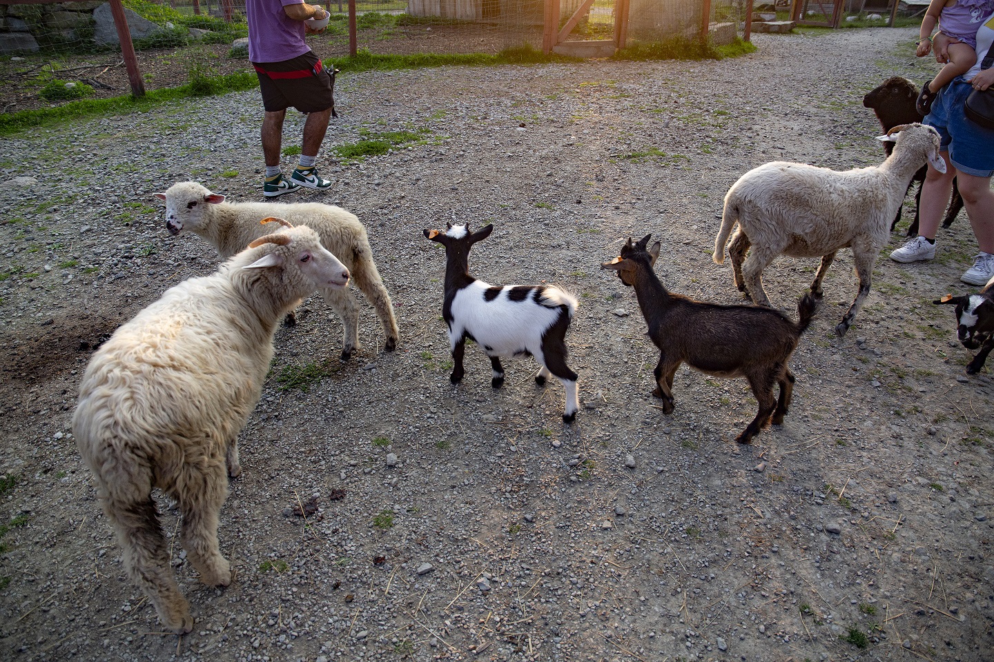 Małopolska atrakcje 2025