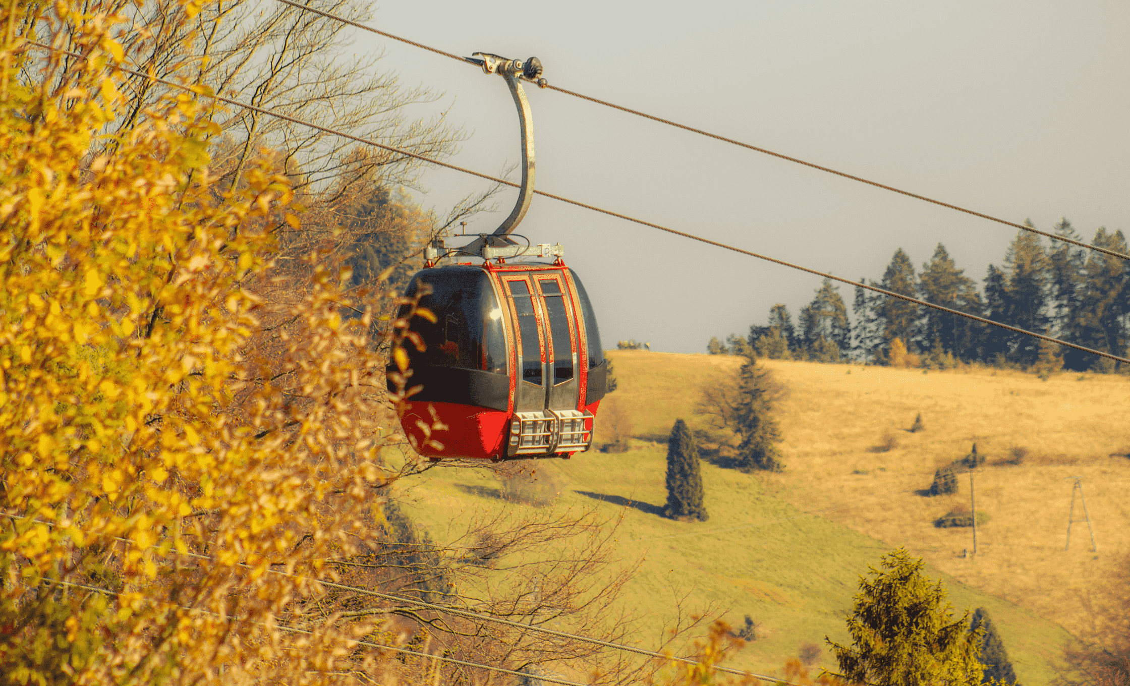 krynica zdroj jaworzyna 1