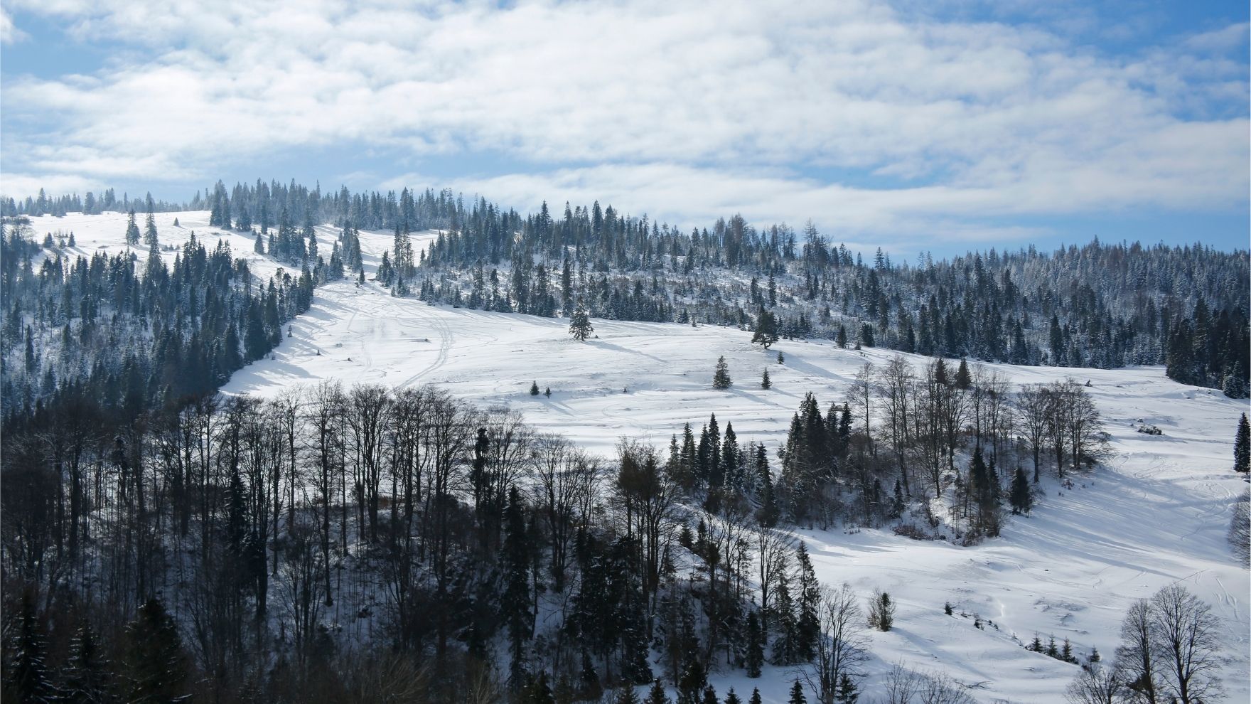 pieniny zima