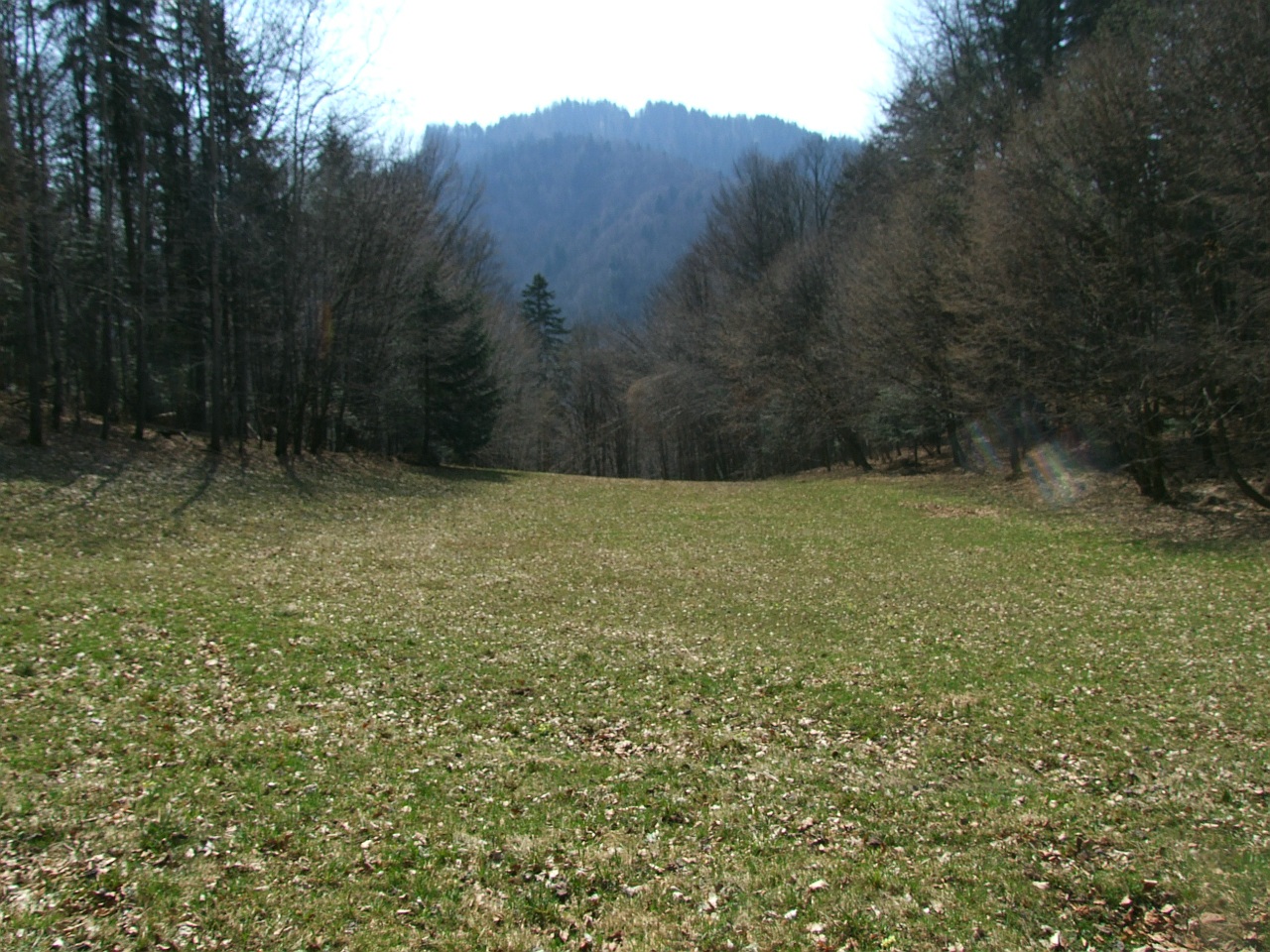 walusiowka wikipedia