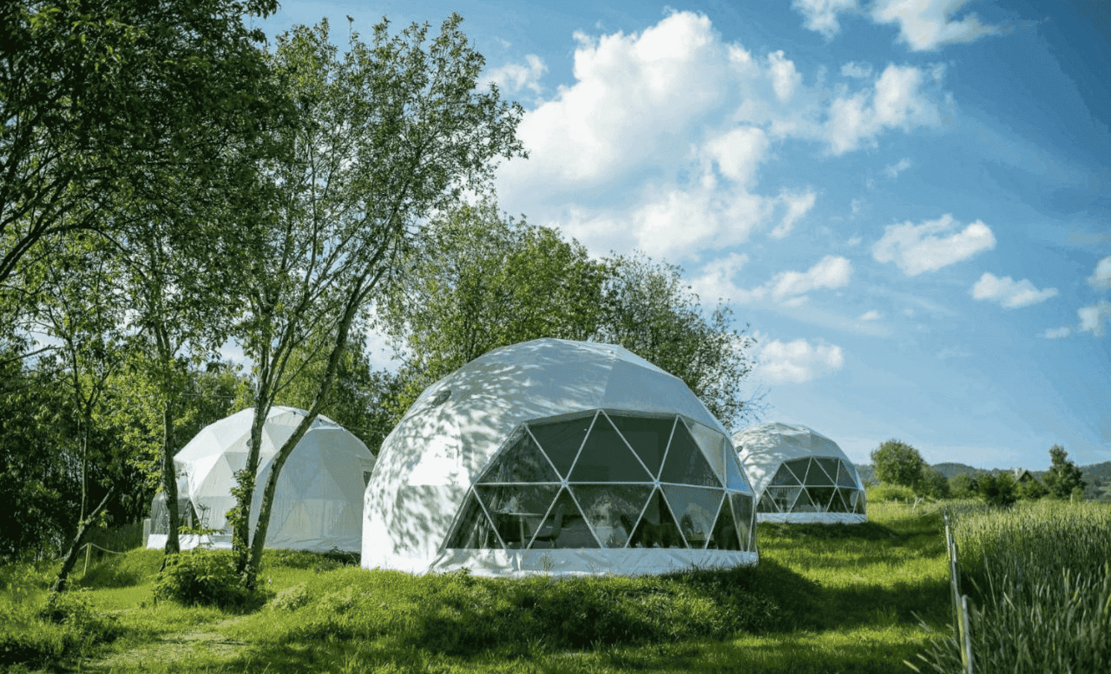 Biała Czapla Glamping Maniowy