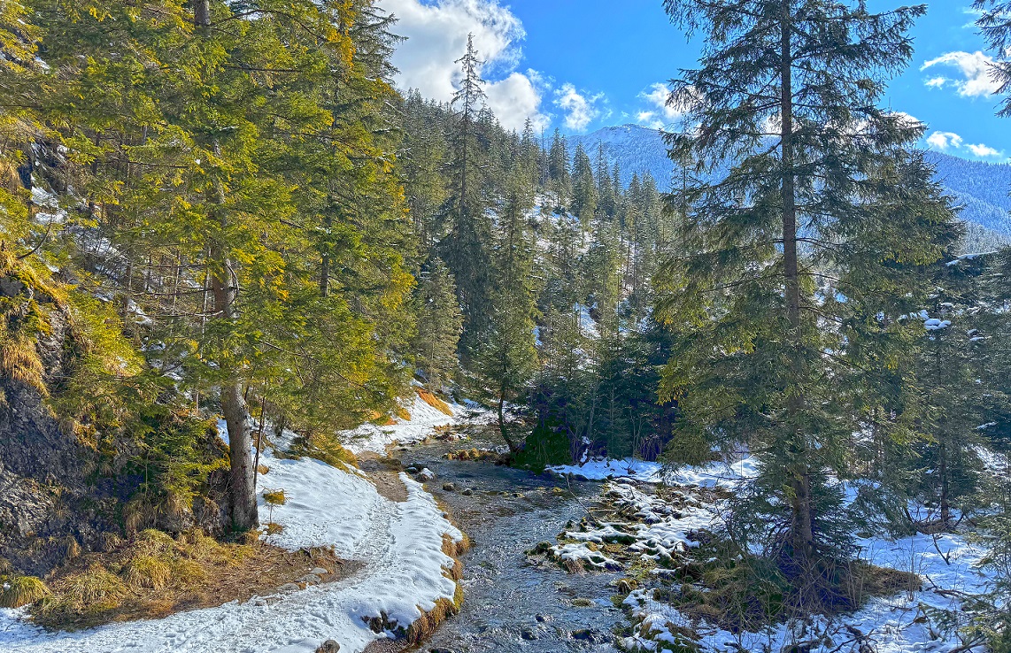 dolina chochołowska