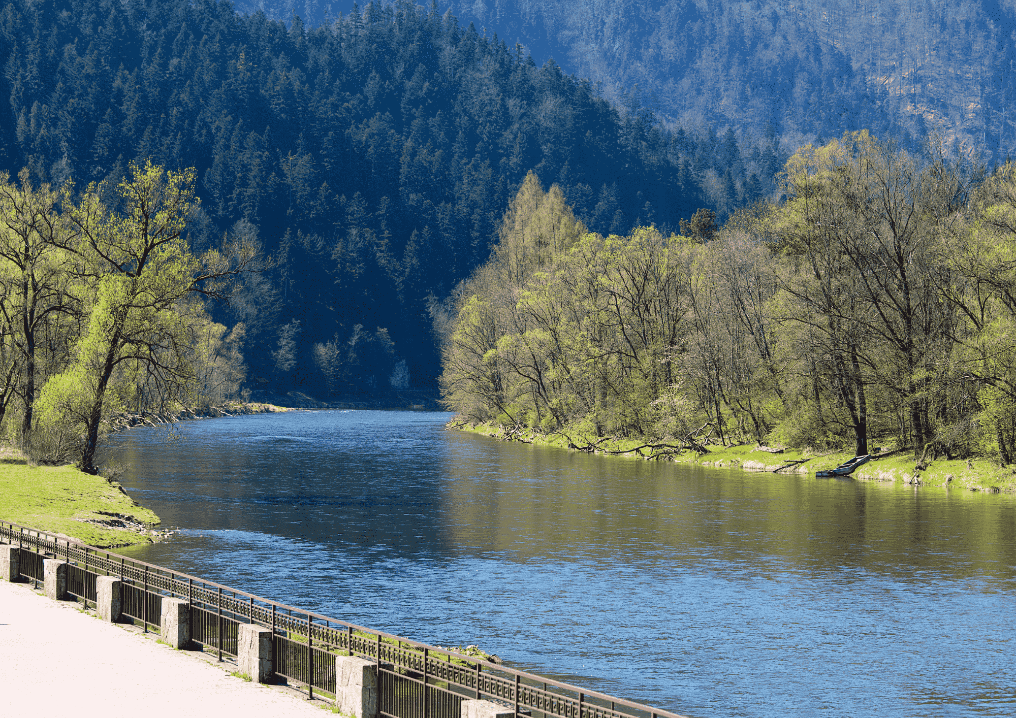 dunajec trasa rowerowa 1