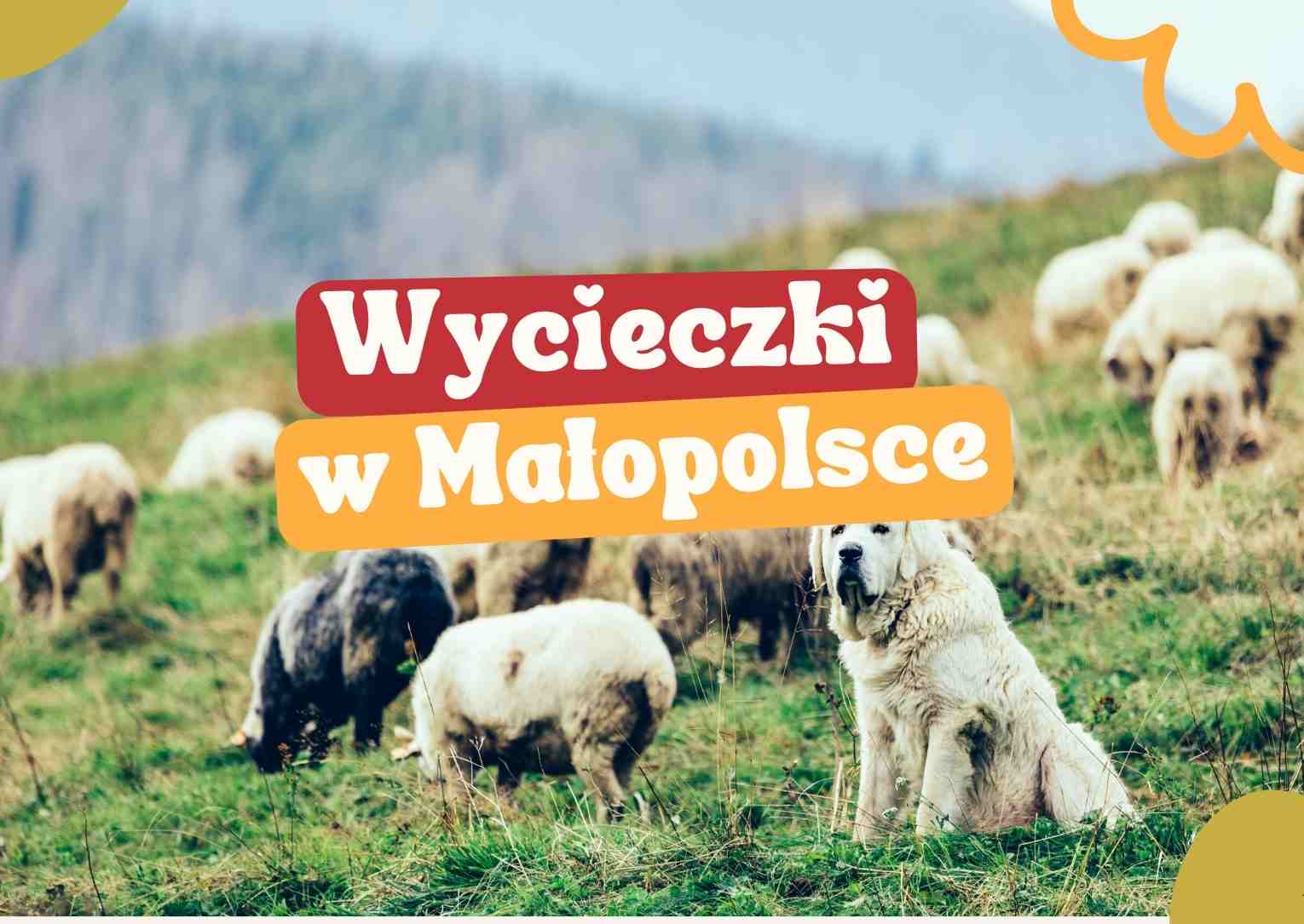 Wycieczki w Małopolsce