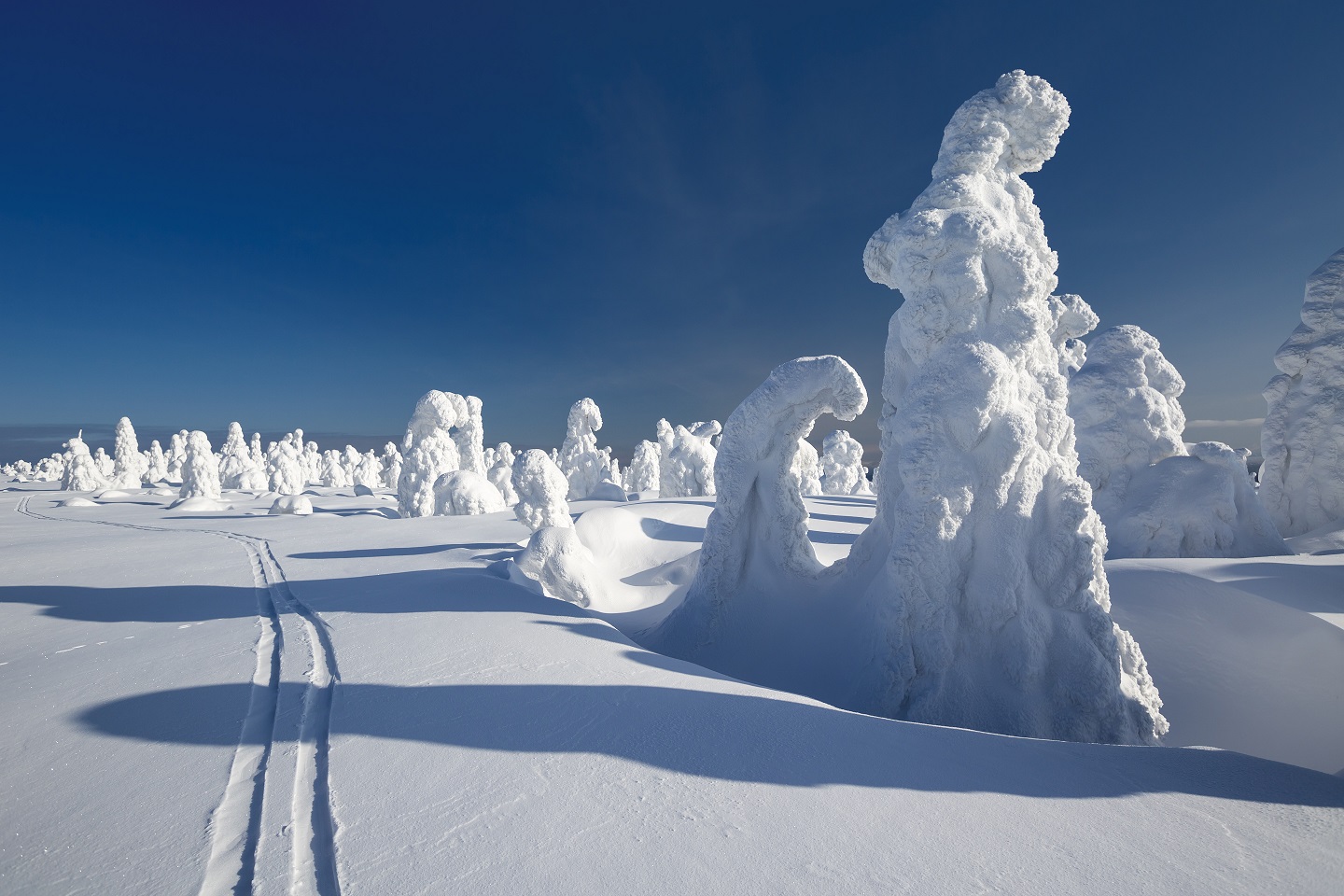 trasy narciarstwa biegowego Zakopane