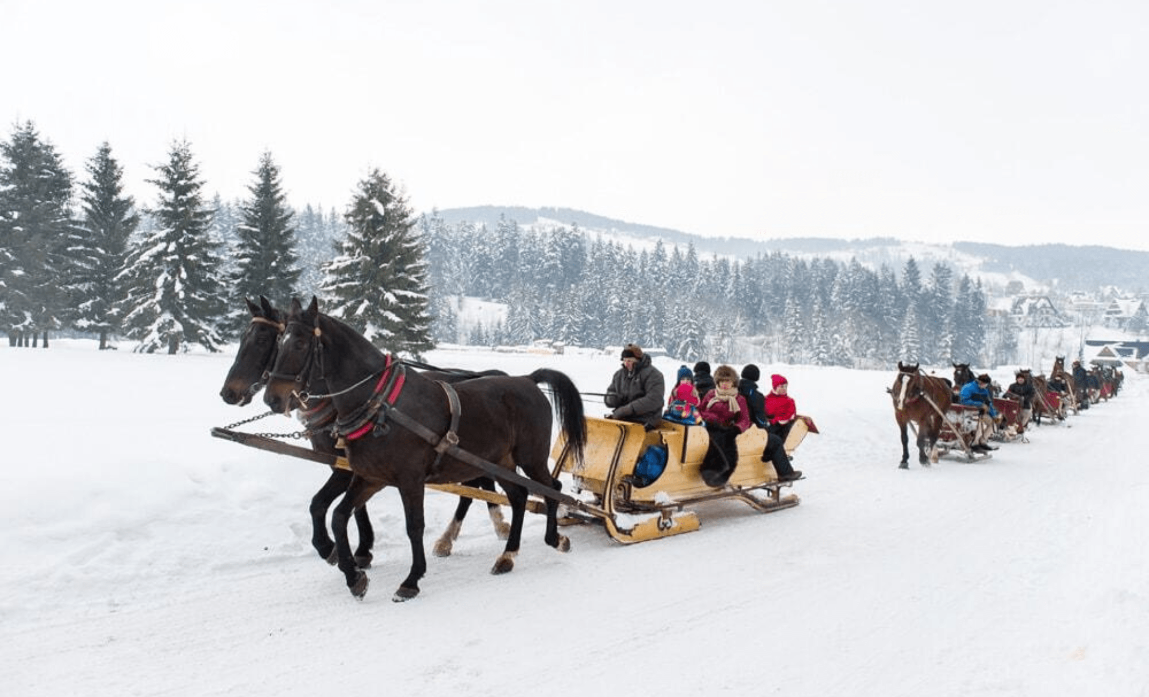 kuligi.pl zakopane 6