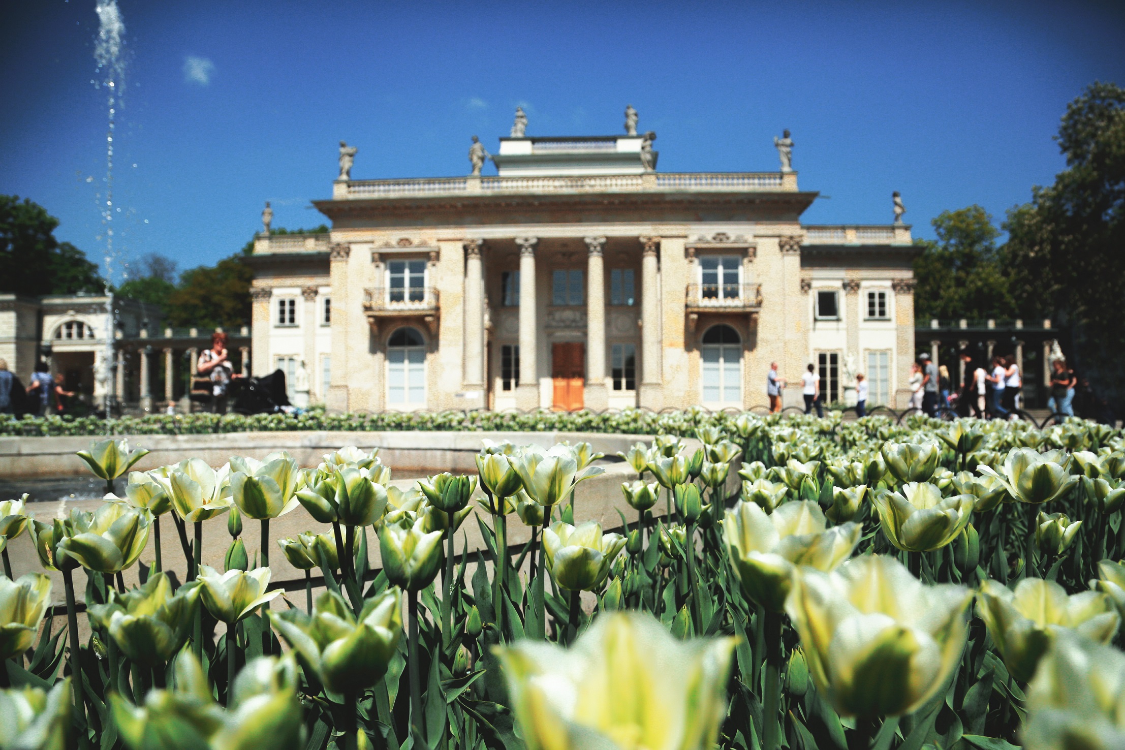 Muzeum Łazienki Królewskie - atrakcje dla dzieci Warszawa