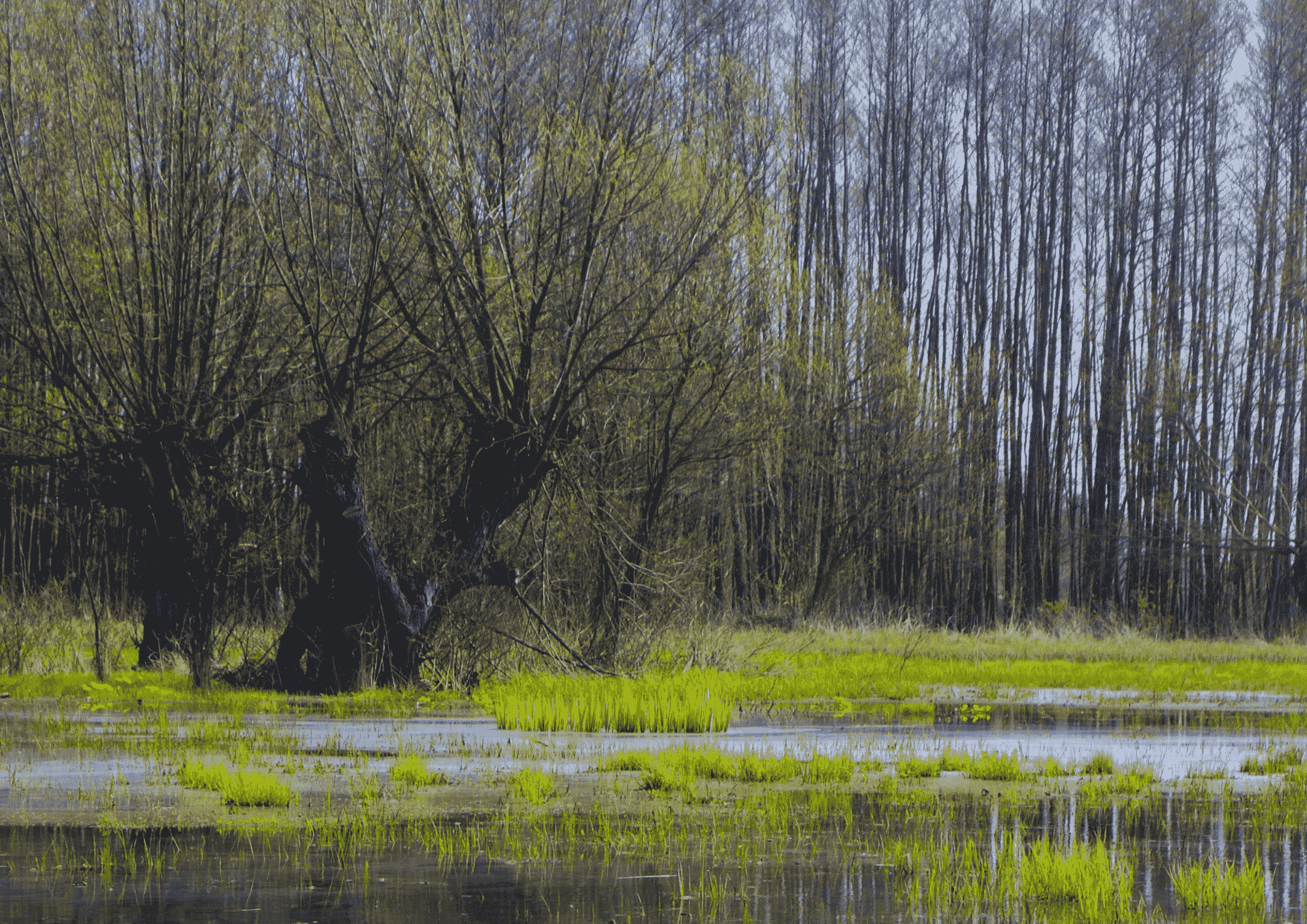 co robic na mazowszu kampinoski