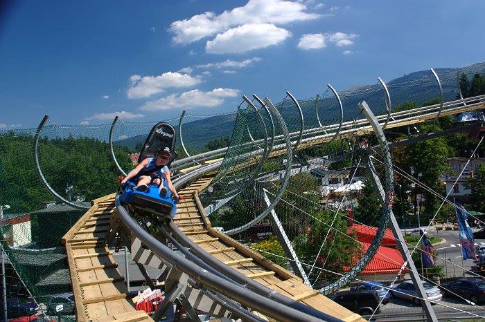 alpine coaster