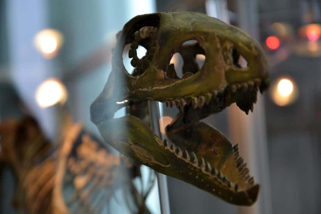 JuraPark Krasiejów – dinozaury i Park Nauki