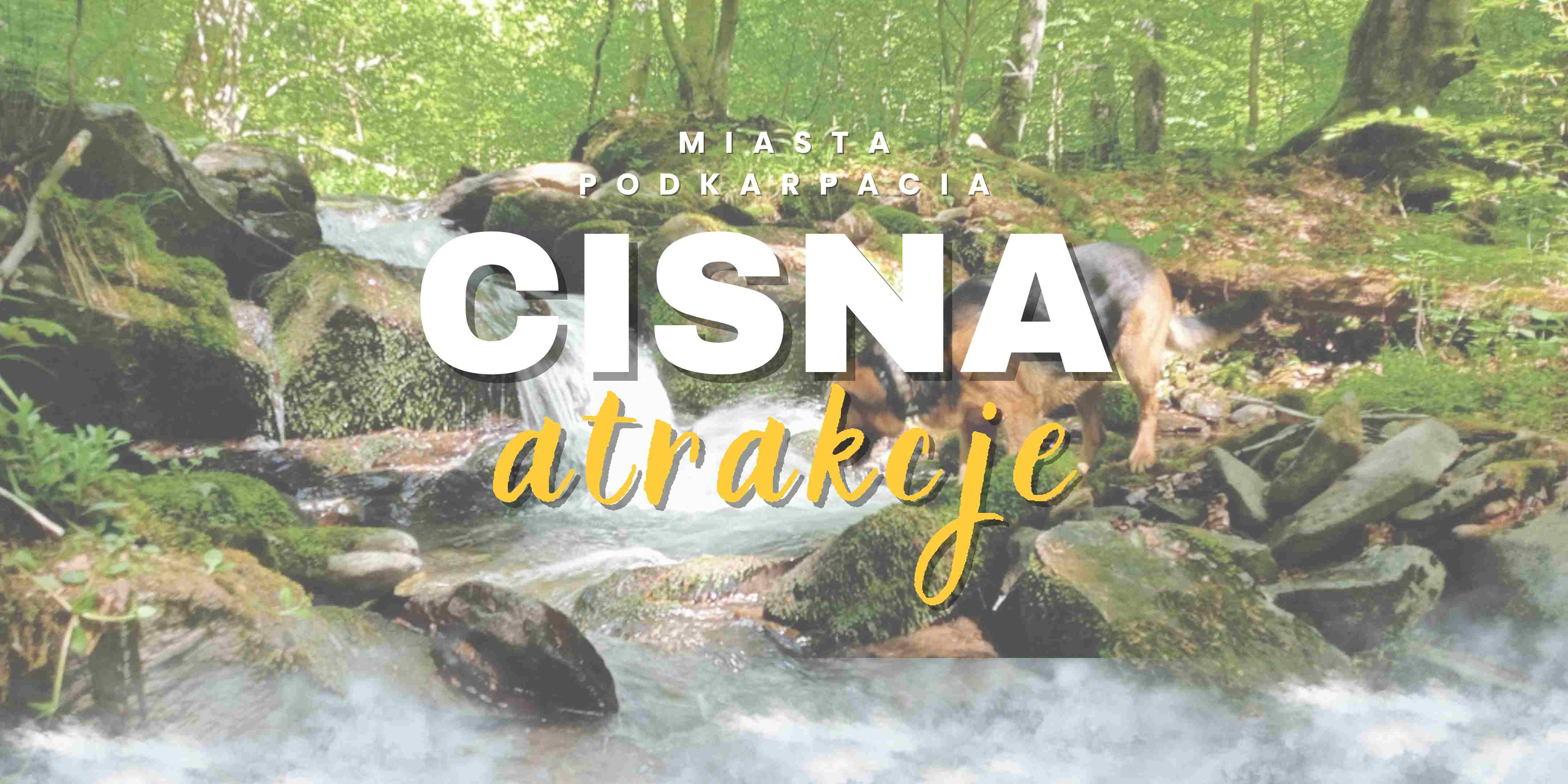 Cisna atrakcje