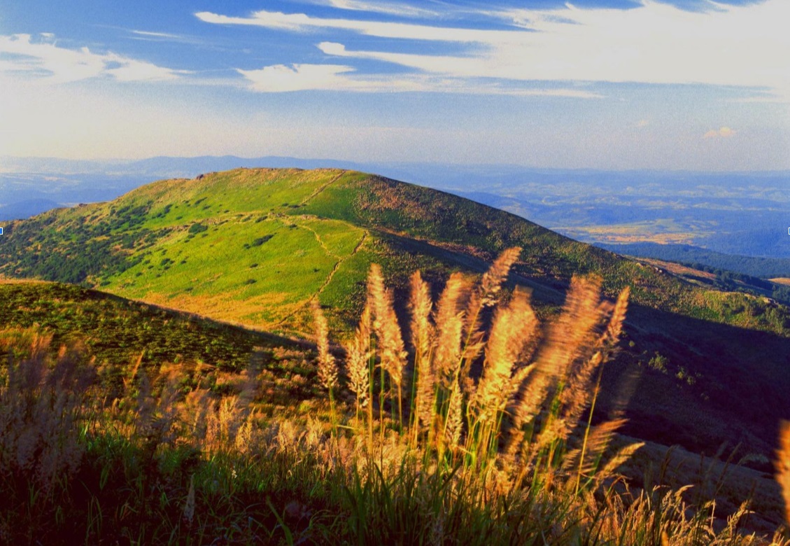 bieszczadzka przystań