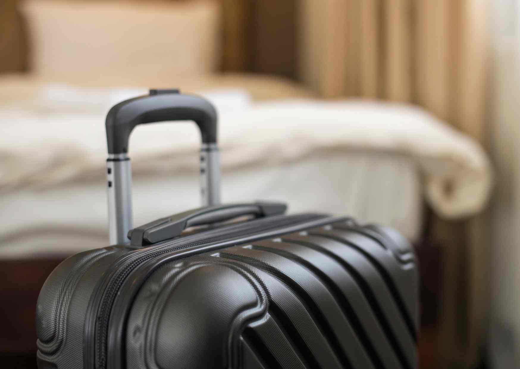 noclegi Puszcza Białowieska